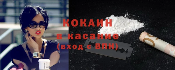 сатива Тайга