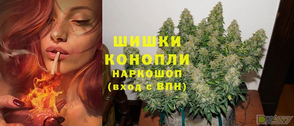 СК Волоколамск